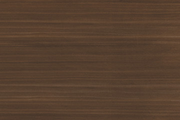 brown walnut tree timber wood structure texture background backdrop