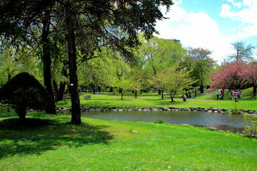 札幌中島公園の春の風景