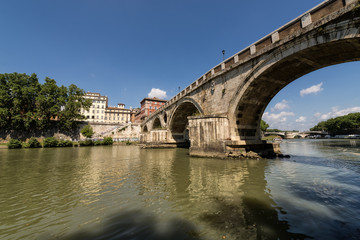 Fototapeta premium Rzym