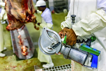 Butcher working