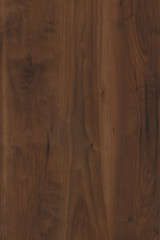 brown walnut tree timber wood structure texture background backdrop