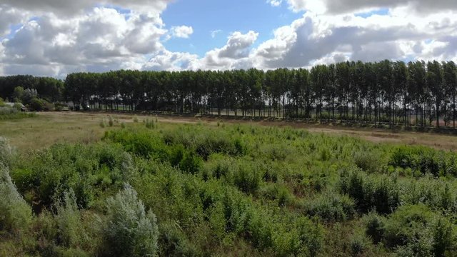 Sunny day on meadow. Overview shot from above