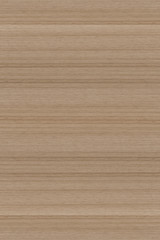 wood timber tree wooden backdrop structure texture background wallpaper