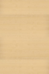 wood timber tree wooden backdrop structure texture background wallpaper