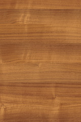 Naklejka premium wood timber tree wooden backdrop structure texture background wallpaper