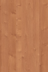 wood timber tree wooden backdrop structure texture background wallpaper