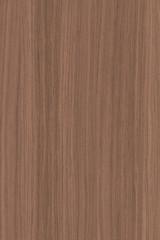 wood timber tree wooden backdrop structure texture background wallpaper