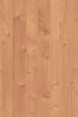 Fototapeta premium wood timber tree wooden backdrop structure texture background wallpaper