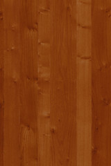 Fototapeta na wymiar wood timber tree wooden backdrop structure texture background wallpaper