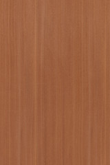 wood timber tree wooden backdrop structure texture background wallpaper