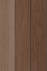 wood timber tree wooden backdrop structure texture background wallpaper