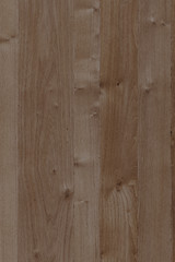 wood timber tree wooden backdrop structure texture background wallpaper