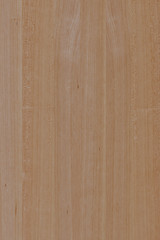 Fototapeta premium wood timber tree wooden backdrop structure texture background wallpaper