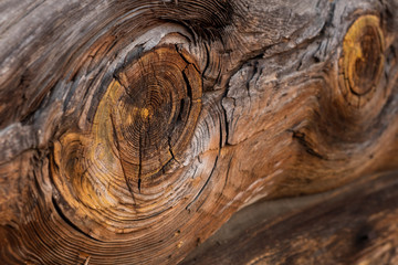 Beautiful patterns on the close-up of old wood. The knot in the board