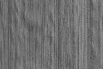 grey tree timber wood structure texture background backdrop