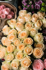 Beautiful and fragrant roses