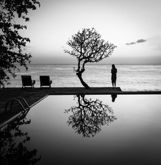 Plakat Swiming pool, deck chairs, tree and sea view - Bali, Indonesia - BW