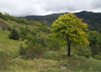 Am Franziskusweg vor La Verna