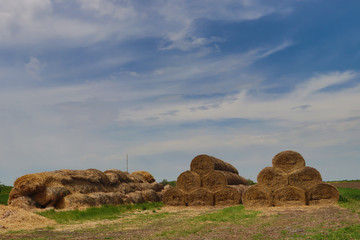 Rolls of hay at country side of Vojvodina (Serbia)