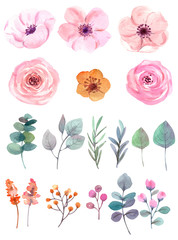 watercolor, wedding card, set flowers 