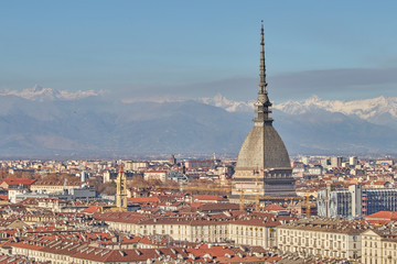 panoramic view of the city of Turin