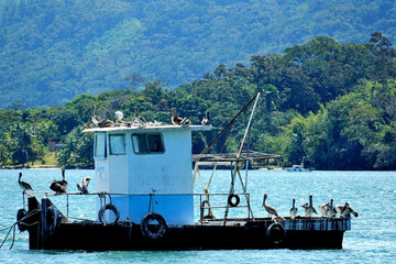 Guatemala Livingston