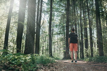 Obraz premium Hiker with backpack in a beautiful green forest with sunlight, climbing and looking up confident 