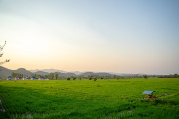 Naklejka premium landscape with green field and blue sky