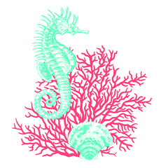 Fototapeta premium Sea shells, sea horse, corals