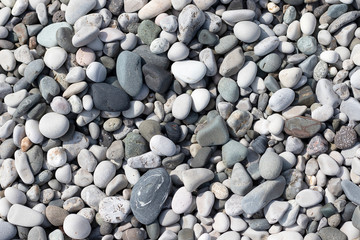 Stone round sea multi-colored. Sea pebbles texture, top view closeup.
