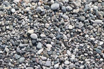 Stone round sea multi-colored. Sea pebbles texture, top view closeup.