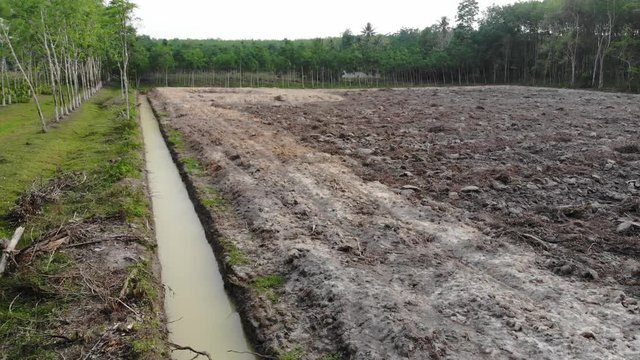 Agriculture for new plantation on plowed field