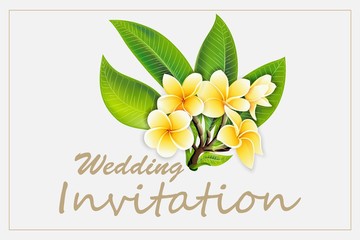 Elegant frame wedding invitation with plumeria flowers on isolated background