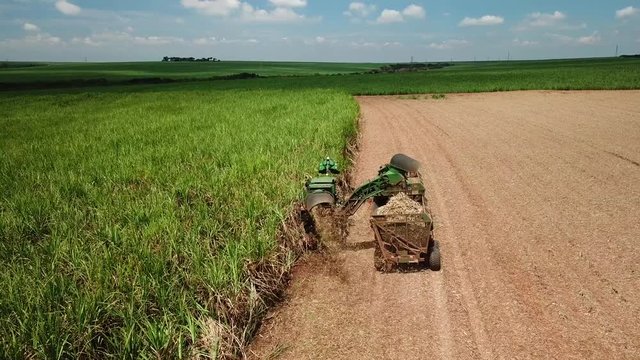 sugar cane harvest in sunny day in Brazil -  aerial view - Canavial