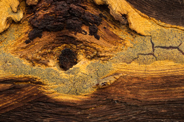 Beautiful patterns on the close-up of old wood. The knot in the board