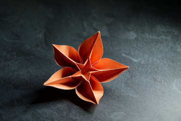 Origami Orchid Flower Blossom - Paper Art on Textured Background