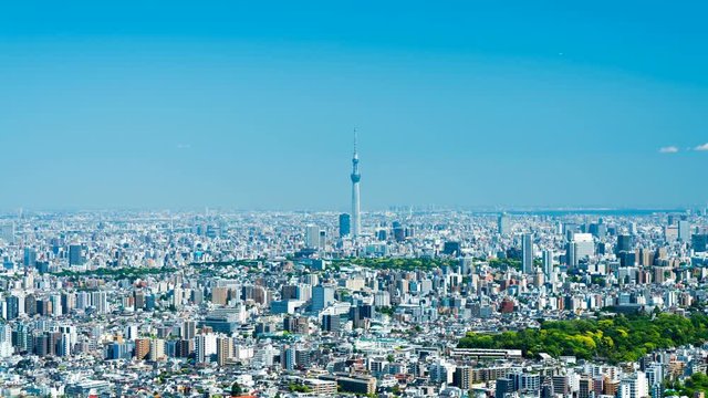 東京風景　タイムラプス　2019　快晴　春