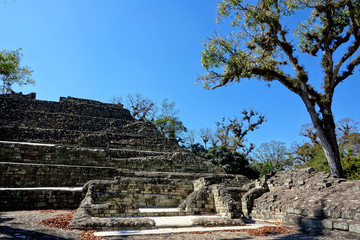 Hondura Copan Ruinas