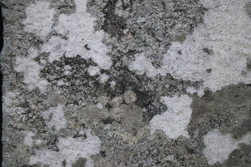 old vintage grunge concrete cement bricks wall background wallpaper surface backdrop