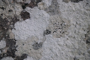 old vintage grunge concrete cement bricks wall background wallpaper surface backdrop