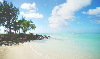 Ile aux cerf Paradise Island, tropical coastline