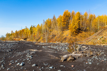 Volcanic area Mount Ostry Tolbachik, black sand, broken trees and stones, Kamchatka, Russia.
