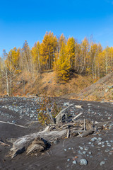 Volcanic area Mount Ostry Tolbachik, black sand, broken trees and stones, Kamchatka, Russia.