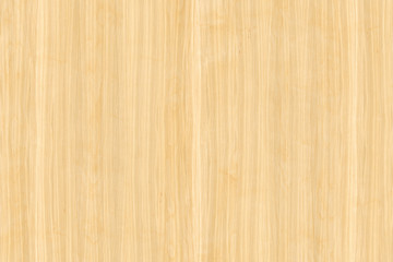 Fototapeta premium light brown vintage beech tree wood wallpaper structure surface texture background