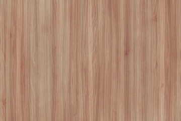 Naklejka premium light brown vintage beech tree wood wallpaper structure surface texture background