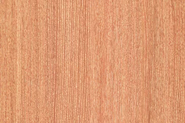 Fotobehang light brown vintage beech tree wood wallpaper structure surface texture background © Ampalyze