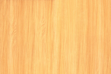 Fototapeta premium light brown vintage beech tree wood wallpaper structure surface texture background