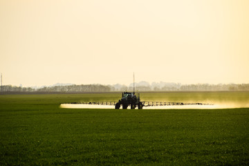 Fototapeta premium tractor with the help of a sprayer sprays liquid fertilizers on young wheat in the field.