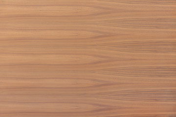 light brown tree wood wallpaper structure texture background pattern