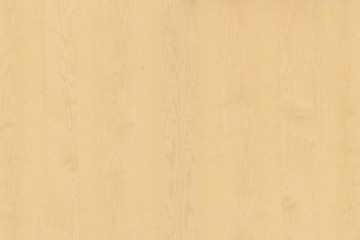 light brown tree wood wallpaper structure texture background pattern